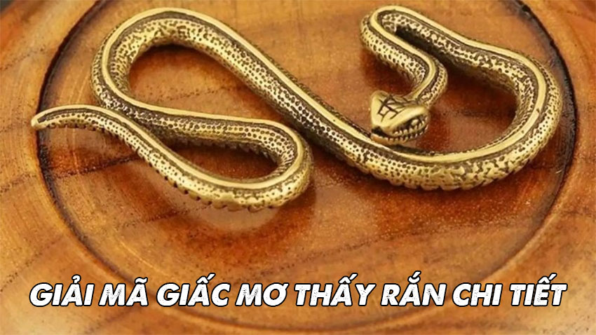 Giải mã giấc mơ thấy rắn chi tiết